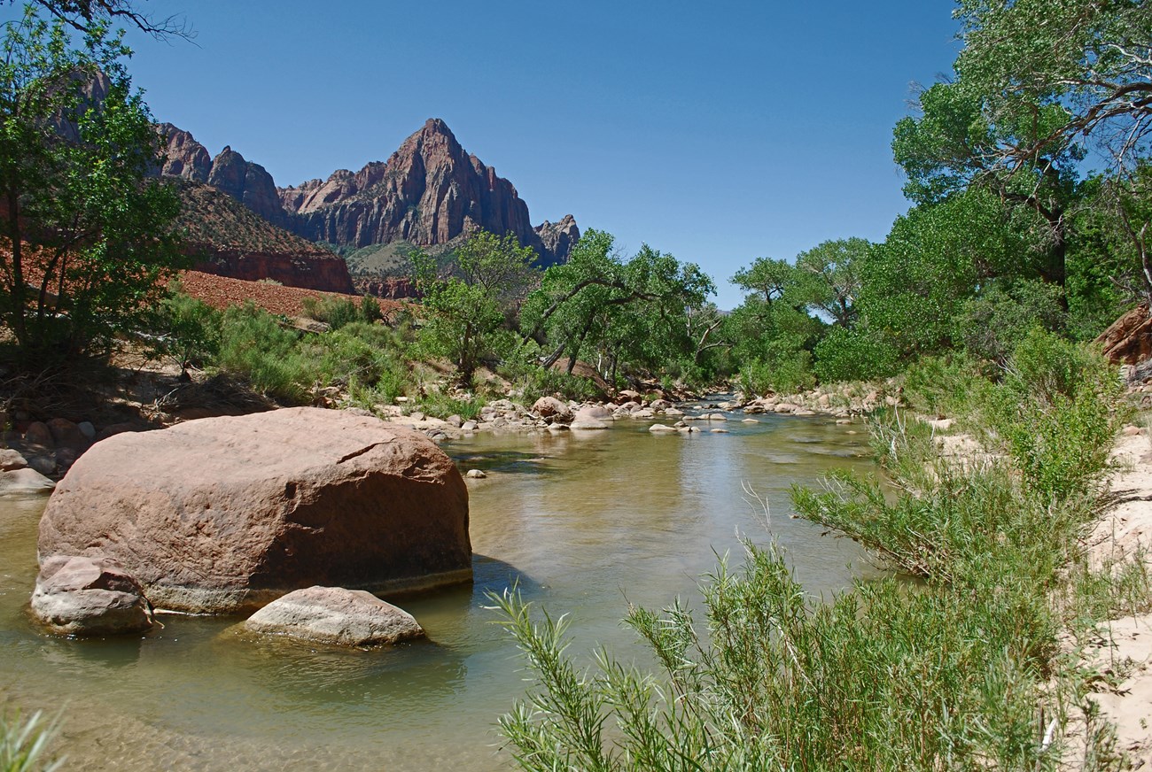 Virgin River canyons Virgin River flowing through canyons and cottonwoods