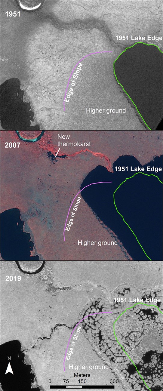 14_LakeDrain_web A three-panel image of changes over time of ice wedge polygons in Arctic tundra/permafrost.