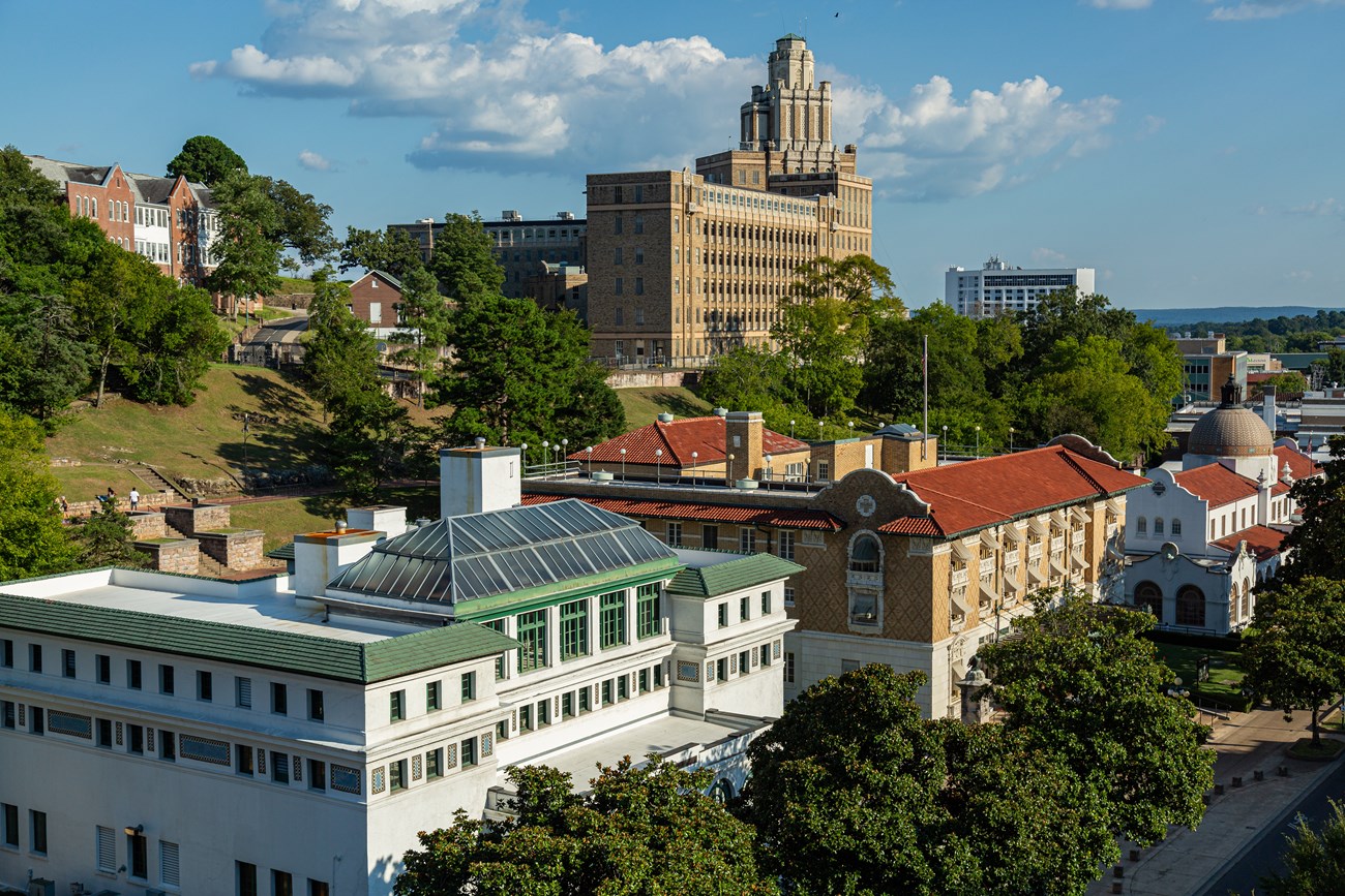 Three large ornate buildings peek over the top of tall magnolia trees.