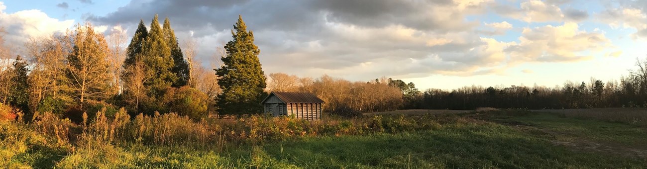 Old corn crib in a green field