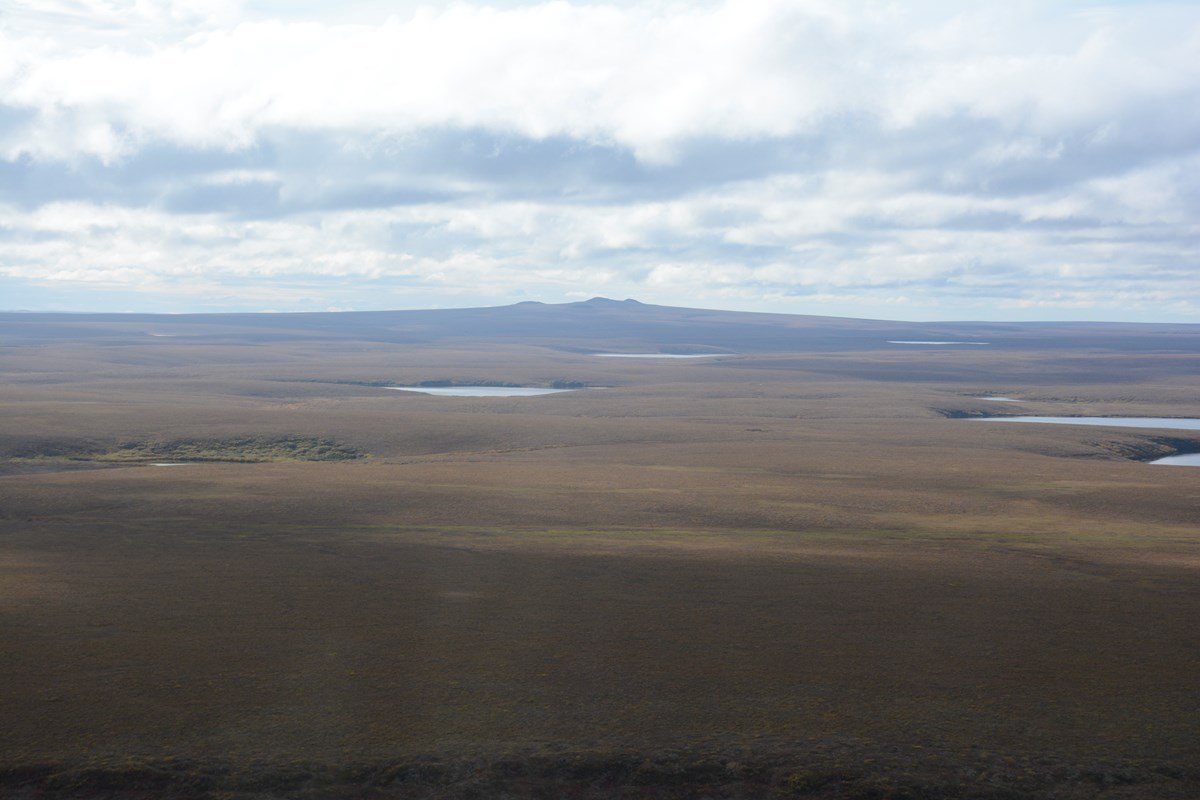 photo of flat arctic landscape with several lakes and a broad mountain on the distant horizon