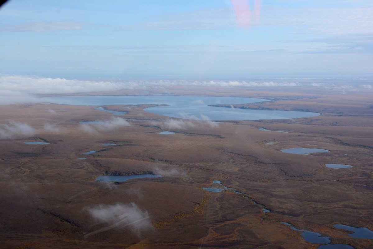 aerial photo of arctic landscape with tundra and several round lakes