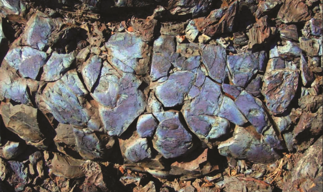 17- CRMO Geology Map Core Area page 2 2011 photo of rock with iridescent colored surfaces