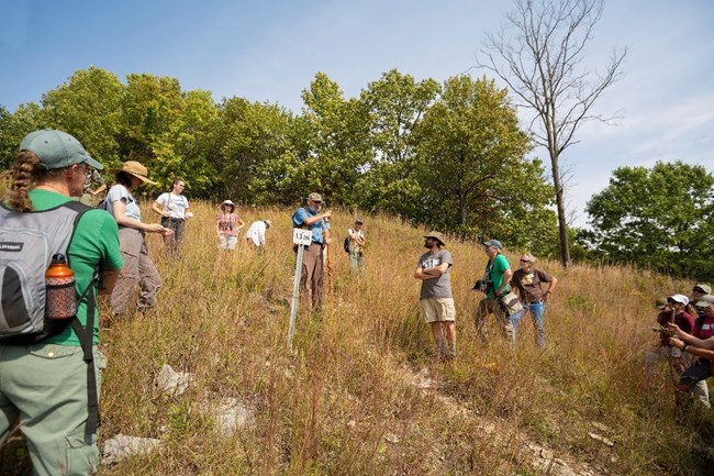 17_FUHI-IL anniv celebration hike_photo by Friends of IL Nature Preserves 17_FUHI-IL anniv celebration hike_photo by Friends of IL Nature Preserves