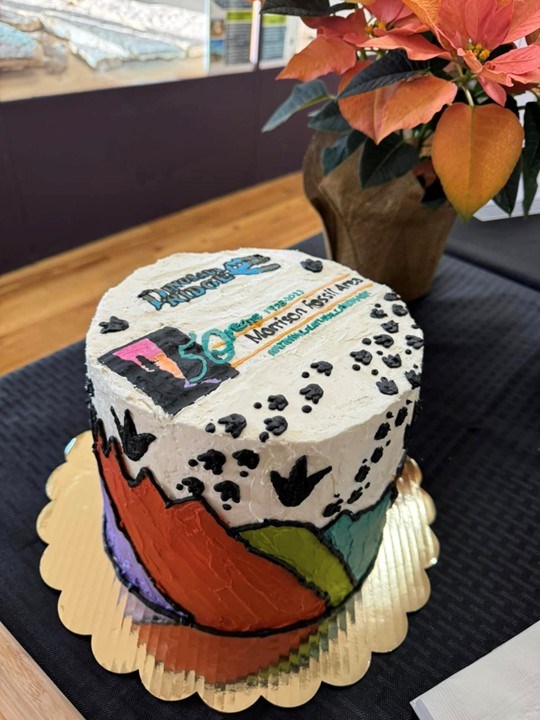 Cake decorated with NNL program anniversary logo
