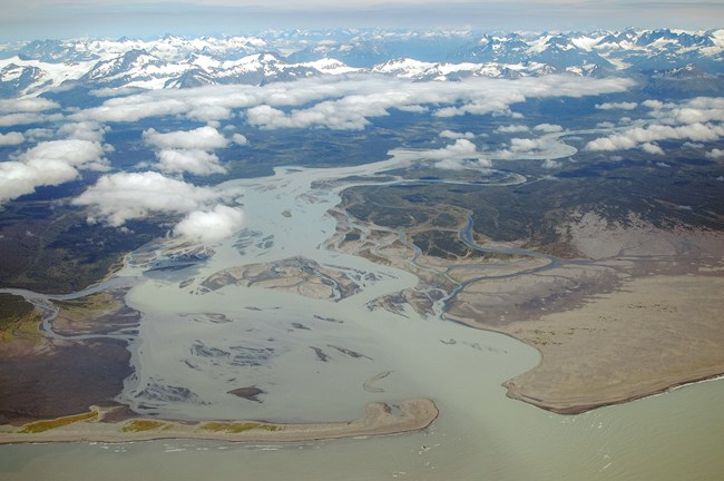 Alsek River is brown and silty as it meets the gulf of Alaska. Many braided river chains empty past sandbars into the ocean.