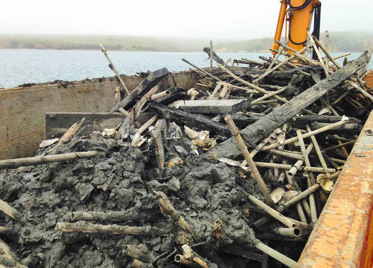 Oyster-growing debris A pile of plastic tubes, metal wire, treated wood, and oyster shells in a big orange metal container, with a foggy but beautiful bay behind it.