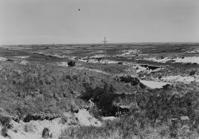 Telephone lines are seen strung along a road.