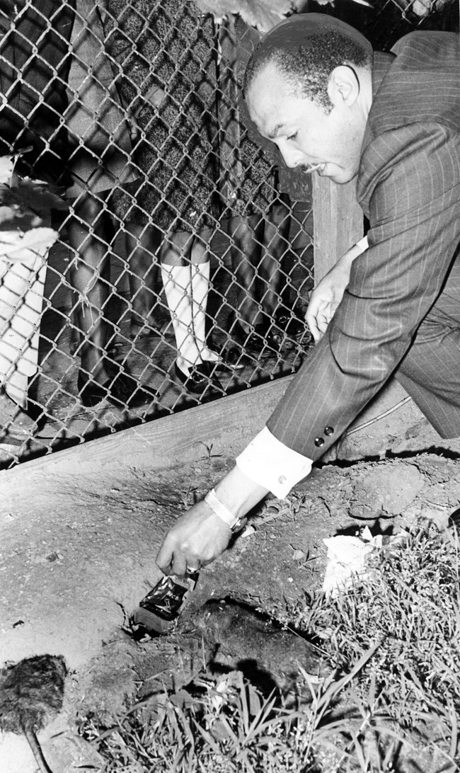 Stokes kneels in front of a chain link fence, with dead rats next to a trap.