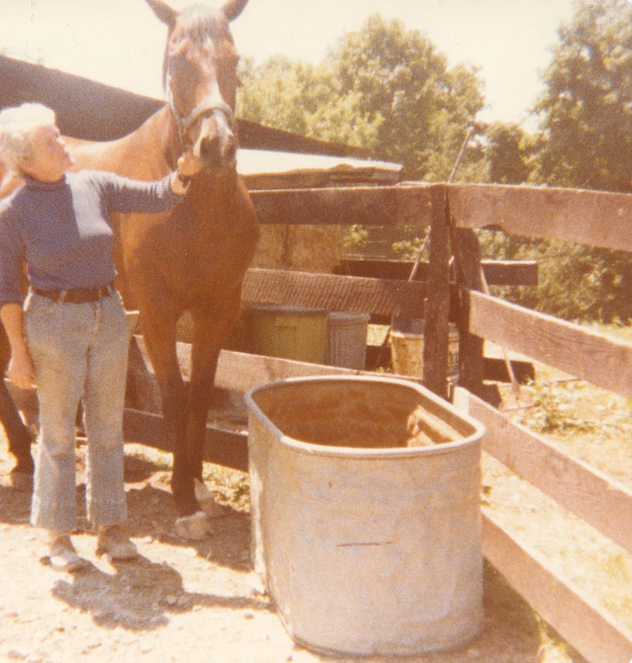 A woman stands beside a water trough holding a brown horse that is much taller than herself. They are inside a fenced area with a low farm building in the background.