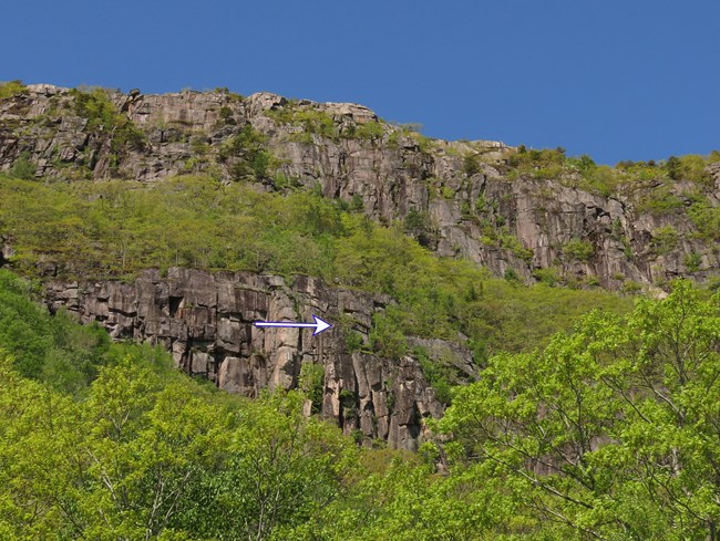 A sheer cliff face with thin ribbons of vegetation and a white arrow noting the location of a nest A sheer cliff face with thin ribbons of vegetation and a white arrow noting the location of a nest