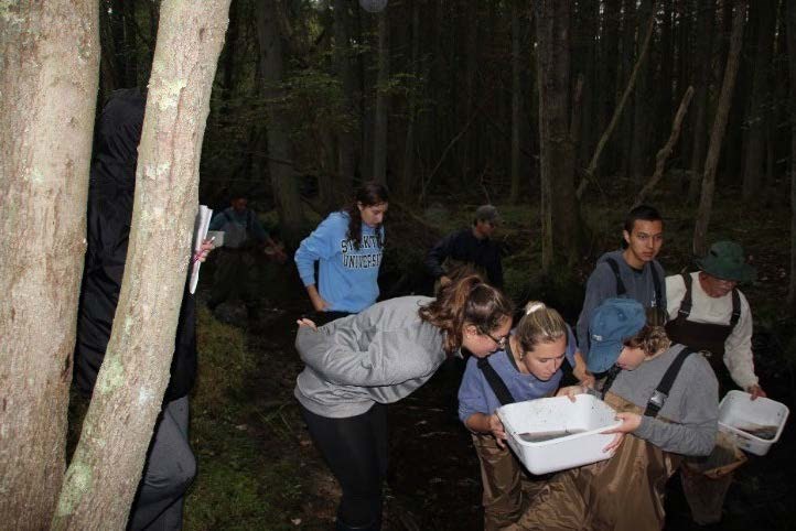 Students from Richard Stockton University learning about water quality while doing a streamside Macroinvertebrate survey. Photos provided by Lynn Maun.3 Students from Richard Stockton University learning about water quality while doing a streamside Macroinvertebrate survey. Photos provided by Lynn Maun.