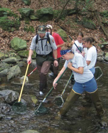 Netting YCC enrollees working with a park ranger in a stream. They are holding nets and wearing waders to work safely in a freshwater environment.