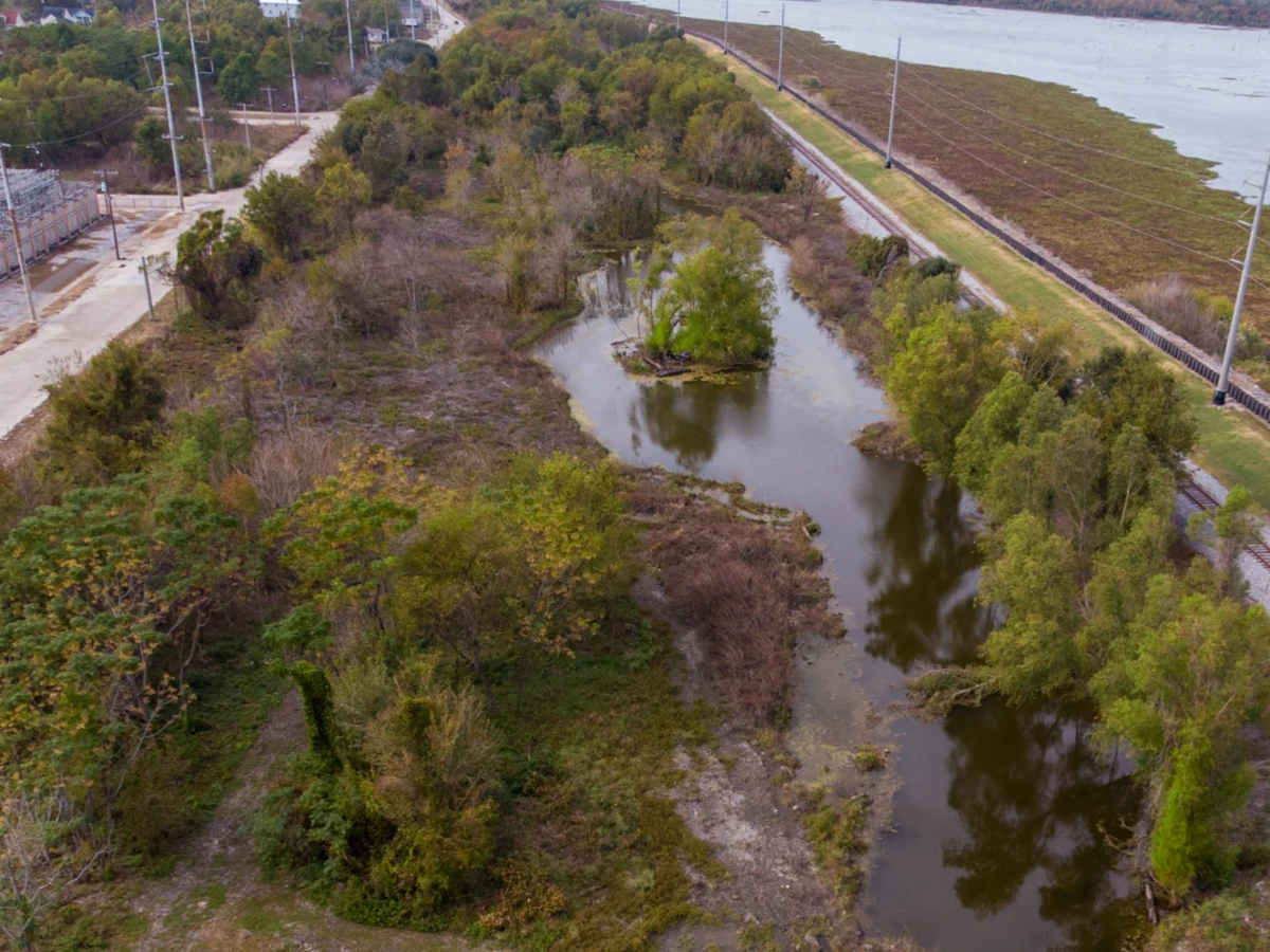 Sankofa from Above Sankofa Wetland Park as seen from above