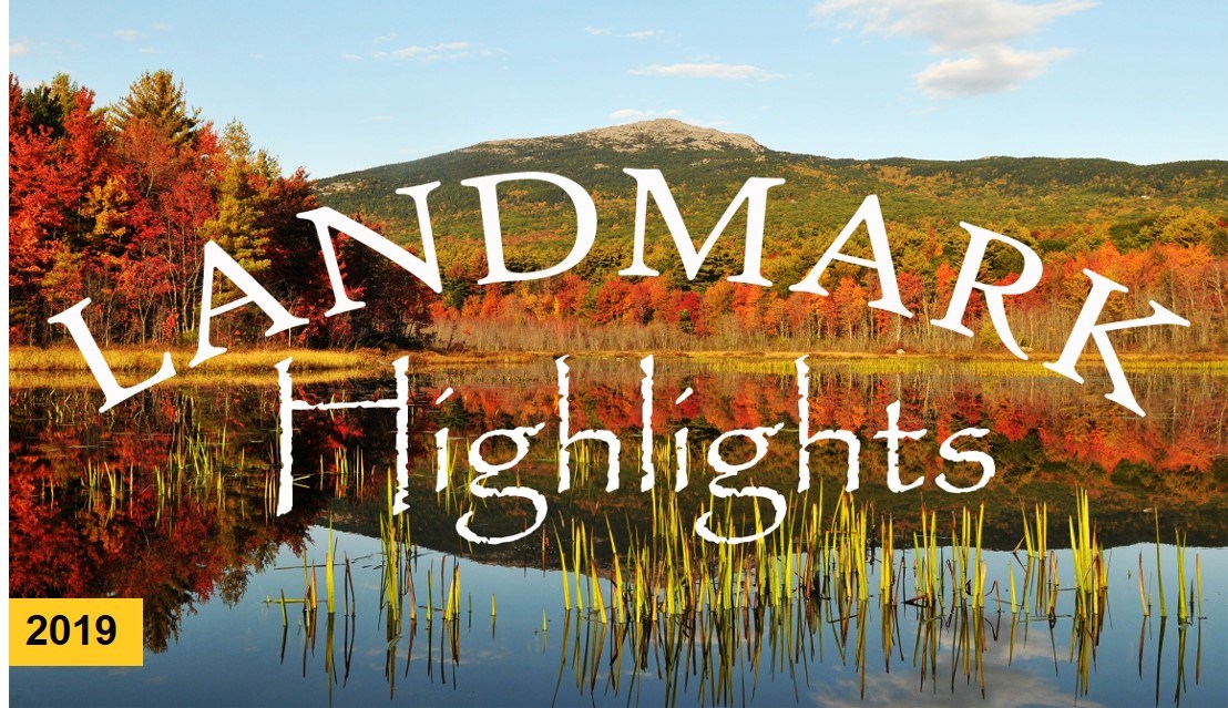 1_Cover photo 2019 Cover photo for Landmark Highlights report