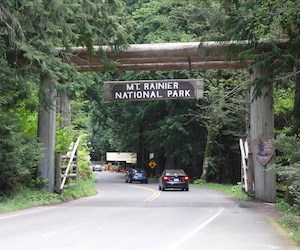 Vehicles pass under a large log entrance arch surrounded by conifer trees.