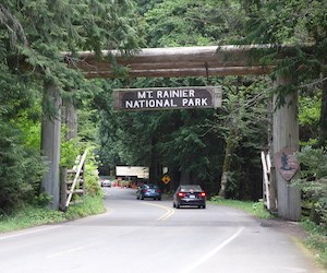 Nisqually Entrance Vehicles pass under a large log entrance arch surrounded by conifer trees.