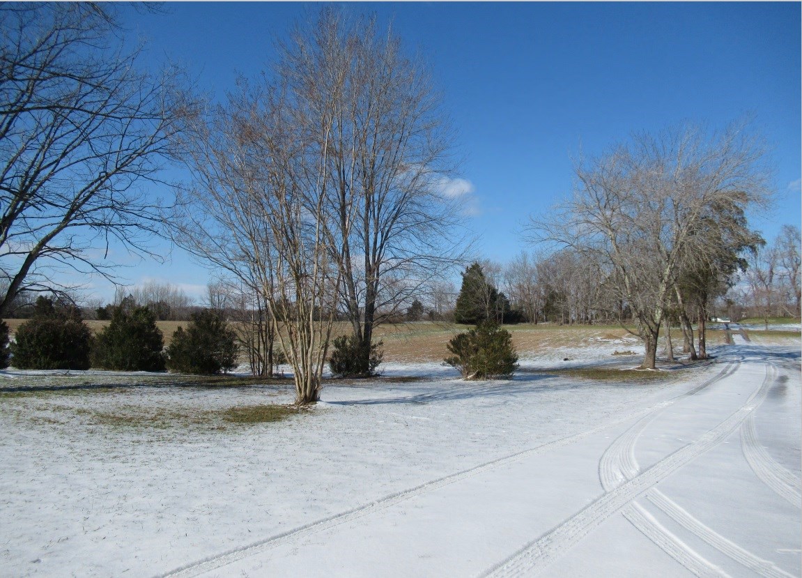 An open expanse of grass and bare winter trees with a thin layer of snow lying in the foreground. Tire tracks can be seen crisscrossing a section of the snow-covered ground.
