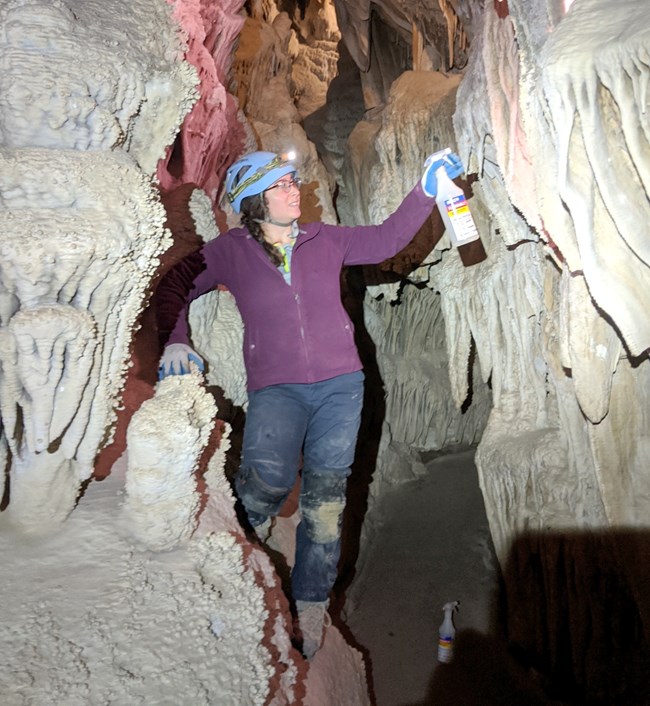 Volunteer spraying algae in Lehman Caves