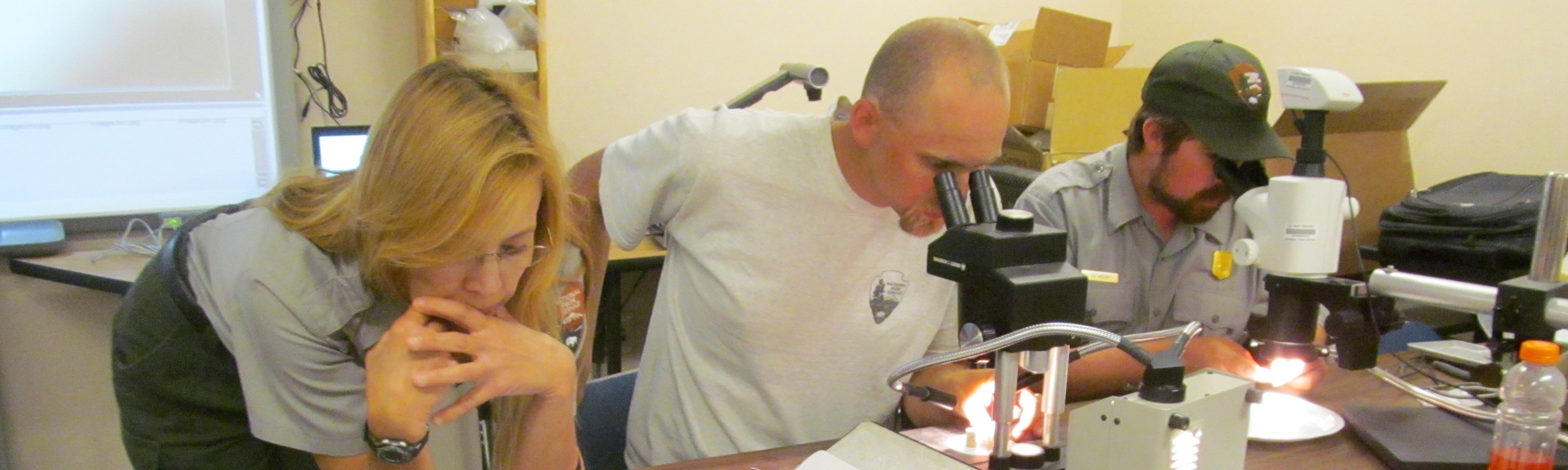 three park employees work at a table, two using microscopes and one reading a report.