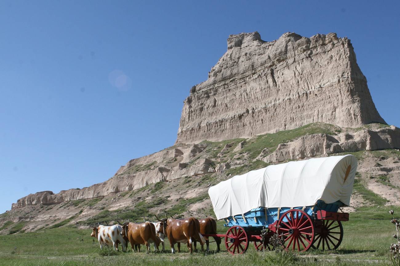A replica Conestoga Wagon is pulled by 6 replica oxen.