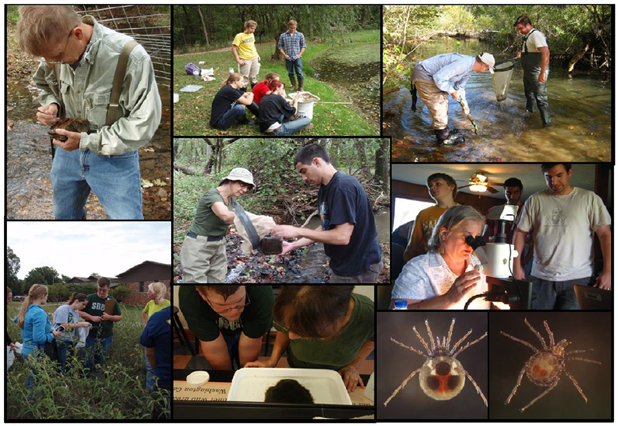 A collage of photos showing scientists working with young people to examine wildlife in a creek, beside a pond, in a field, and in a lab under a microscope along with two pictures of mites.