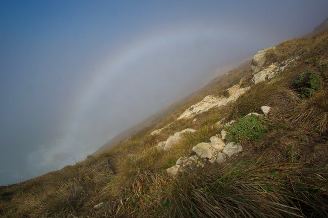 A fog bow over a foggy cliffside ocean view.