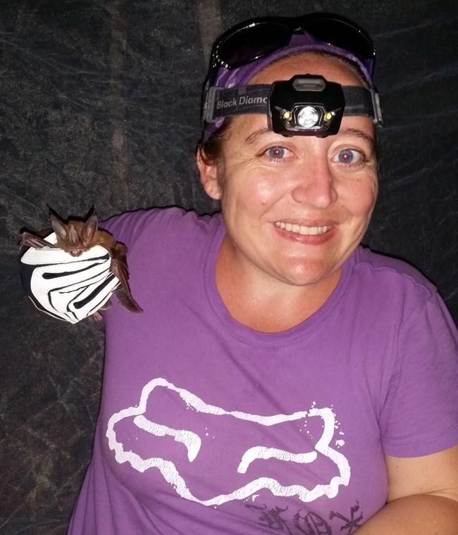 Woman smiles at camera, holding a mist-netted bat in her gloved hand.