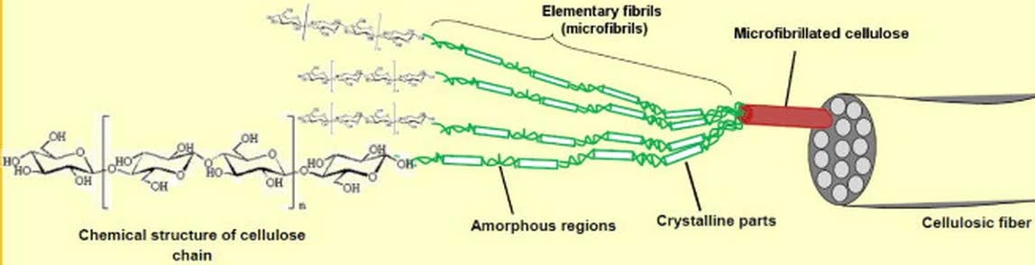 2018-05-North-Dakota-State_Page_4_Image_0001 Fig. 1 Hierarchical structure of cellulosic fibers, adapted from the artwork of Lavoine