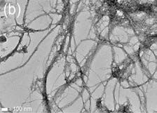 SEM picture of CNFs2. SEM picture of CNFs2.