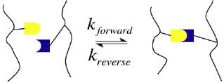 Schematic showing connection & disconnection between two chains based on the reaction.