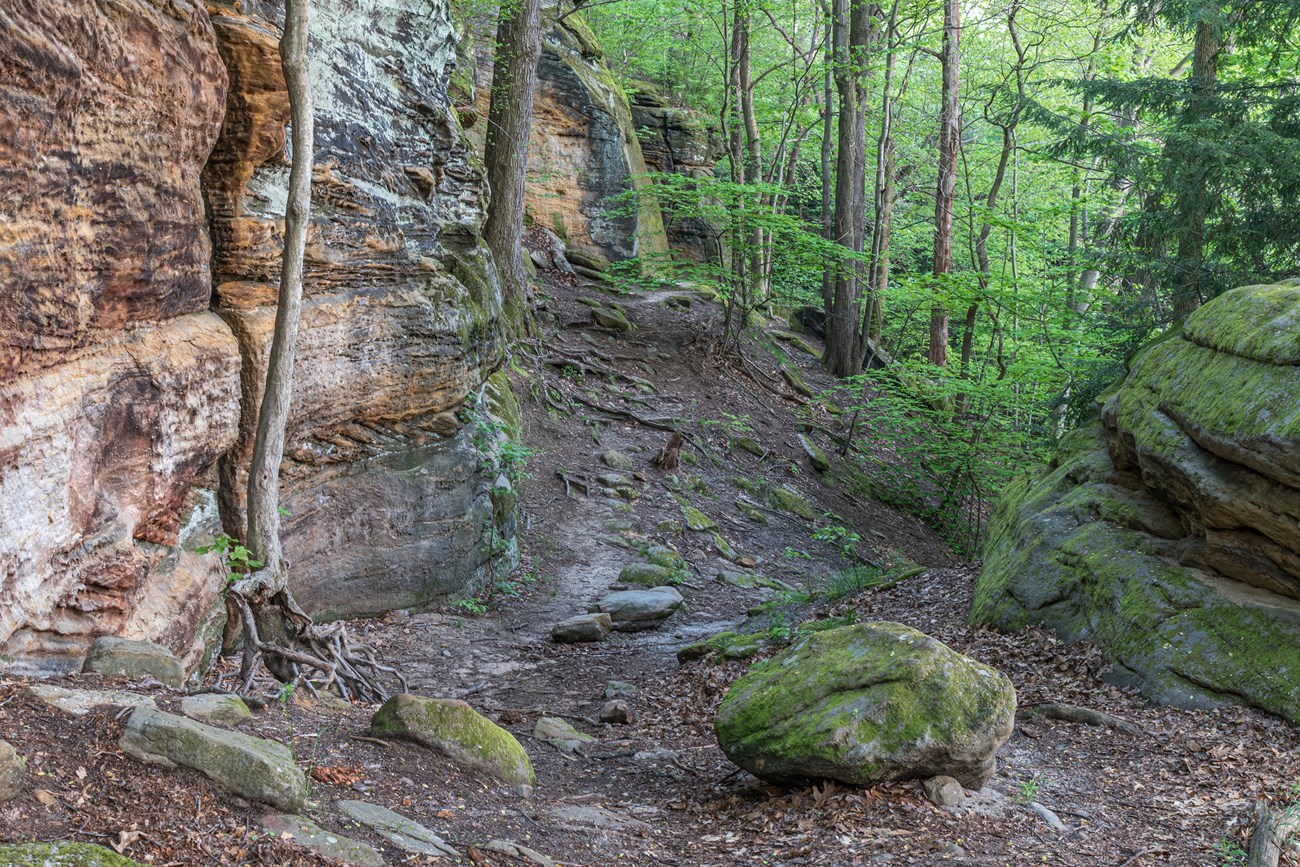 An unpaved trail winds along a gray, orange, and green cliff face to its left; moss-covered boulders and trees line its right side.