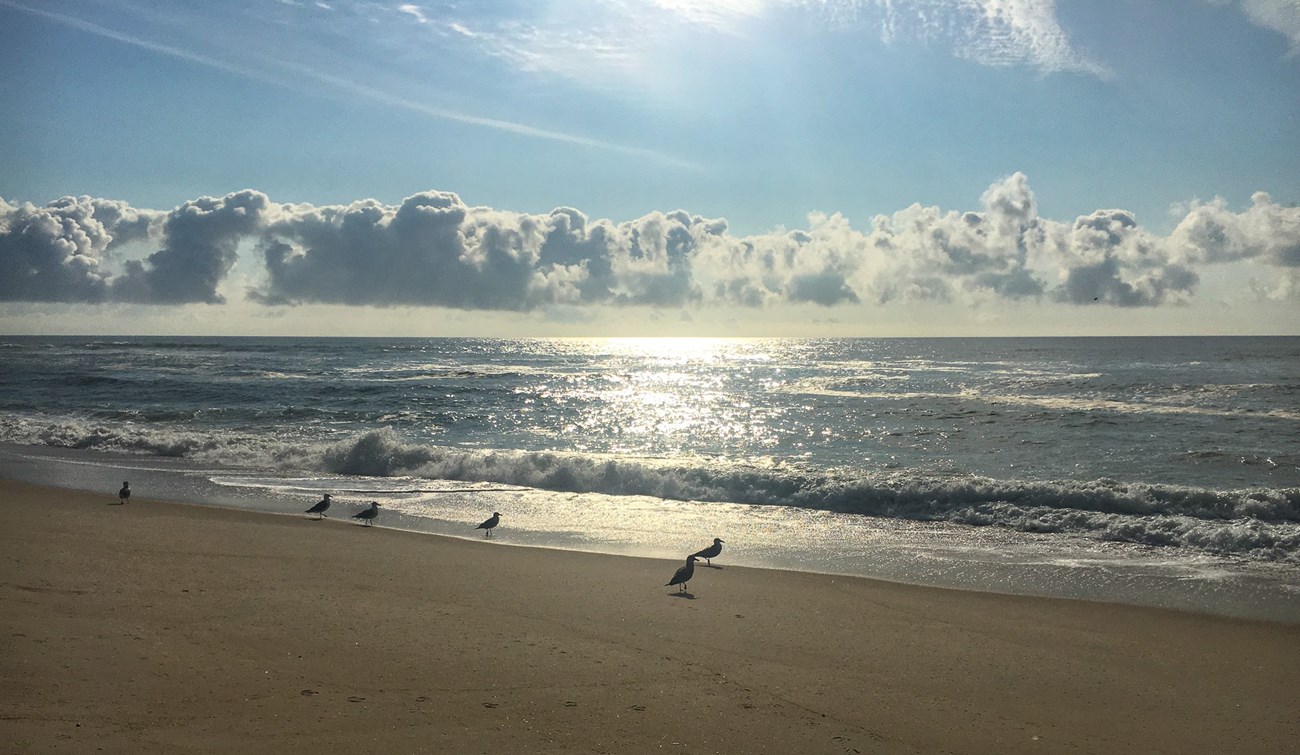 waves crash as gulls walk on the sand with a sunny sky and white clouds above