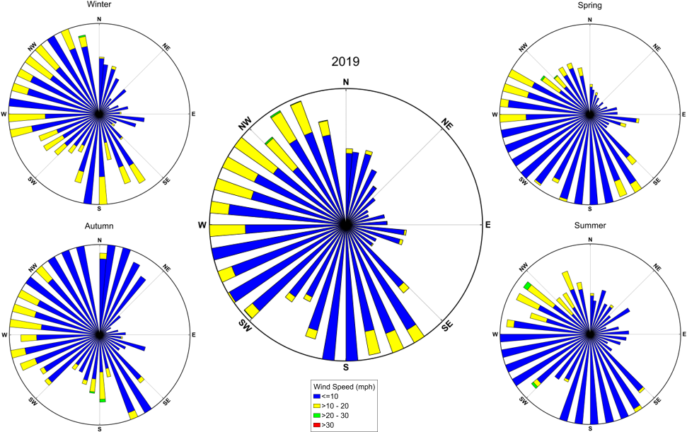 windroses of the seasons and the year average for COLO in 2019