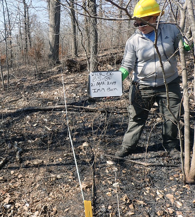 2019 prescribed burn at a monitoring site A person holding a white board that says WICR 06 BS-BF 21 March 2019 IMM Burn. The person is standing in a forest that has charred wood and debris on the forest floor and a stretched out measuring tape.