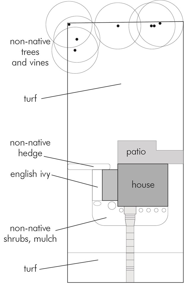 Original yard with non-native plants A plat drawing of Ted's yard shows areas of turf and non-native vegetation around the home and on the perimeter.