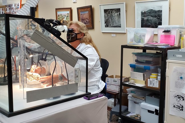 a woman works on a fossil in a large, clear chamber. She is surrounded by cabinets and bookshelves.