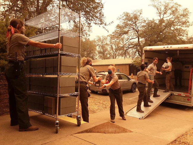 National Park Service staff form a line to efficiently transfer boxes of museum collections from a cart to a moving truck.