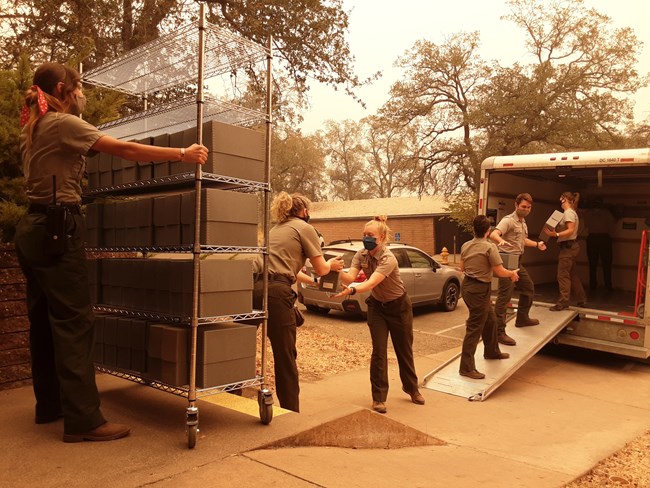 Park staff evacuate museum collections at Sequoia National Park National Park Service staff form a line to efficiently transfer boxes of museum collections from a cart to a moving truck.