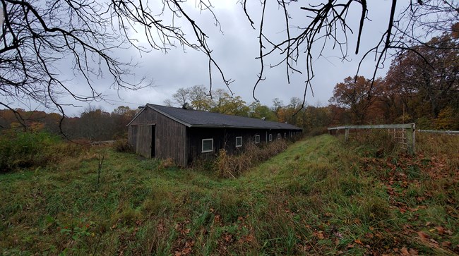 A long, one story brown barn with 11 windows down one side, surrounded by an overgrown field and autumn trees.