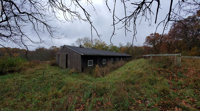 Wetmore barn A long, one story brown barn with 11 windows down one side, surrounded by an overgrown field and autumn trees.