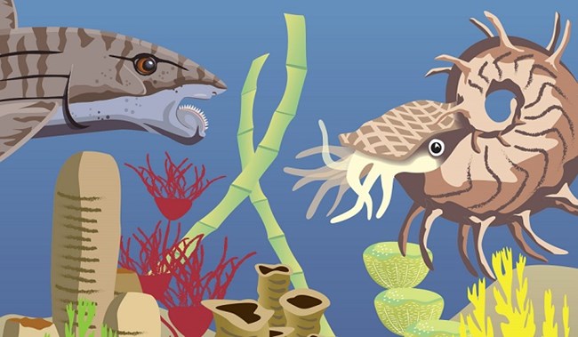 Illustration of prehistoric marine life and reef