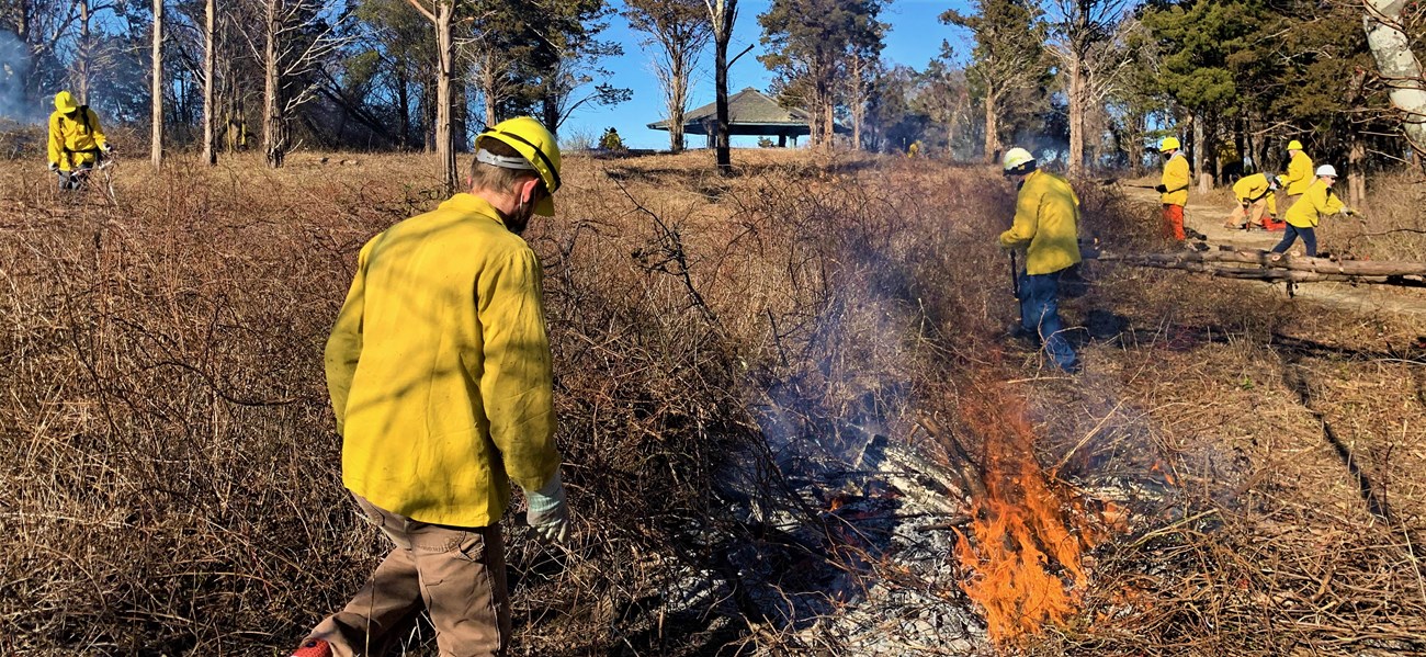 20210119 CutPileBurn Fort Hill_01 Volunteers wearing yellow protective gear work in dry brown vegetation where some of it has been piled up and ignited on fire.