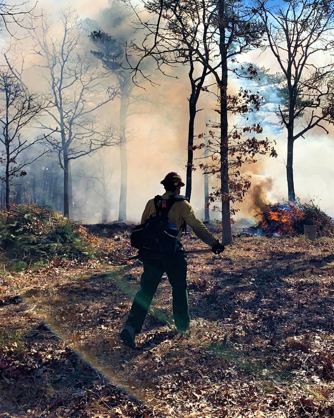 A person dressed in protective gear and fire equipment walks towards a fire among some trees.
