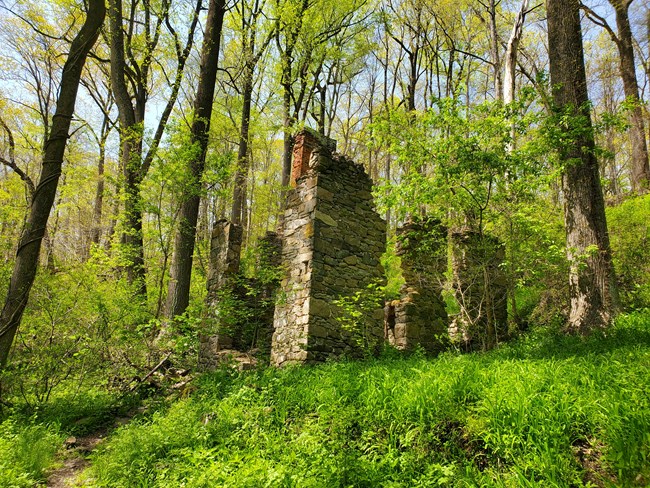 Ruins near Beaver Creek. The ruins of a 1800s era house in a forested area.