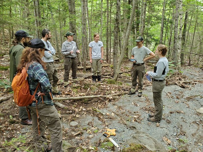 Staff discuss approaches to the damage staff stand in half circle in the woods
