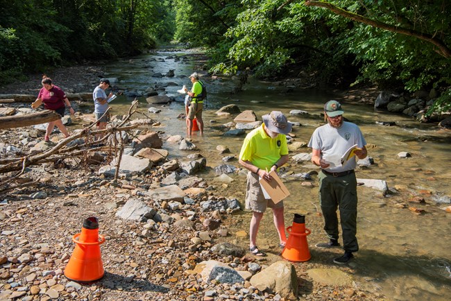 Six people wade into a shallow, rocky river with forested banks. They make notes in workbooks. Three orange cone shaped viewers sit on the ground and in the water.