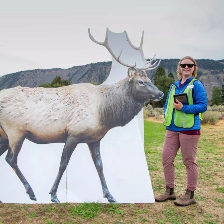a woman standing next to a large cutout of an elk