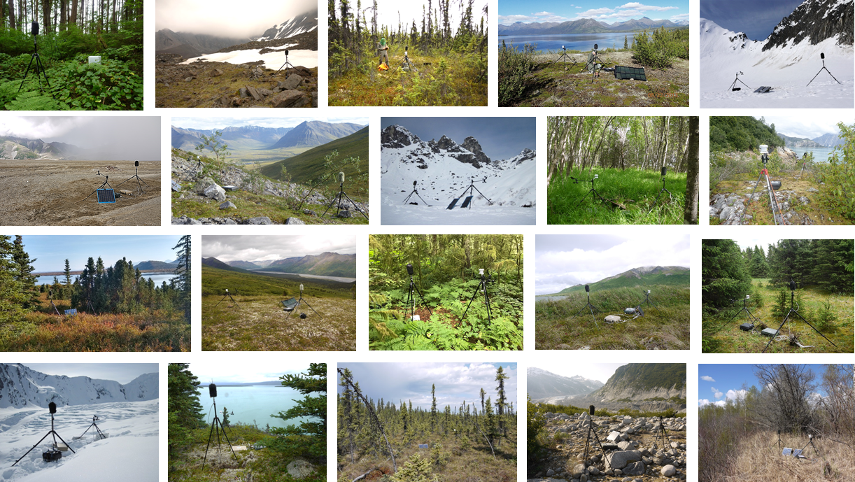 A composite picture of many different kinds of landscapes, all with acoustic recording equipment in the foreground.