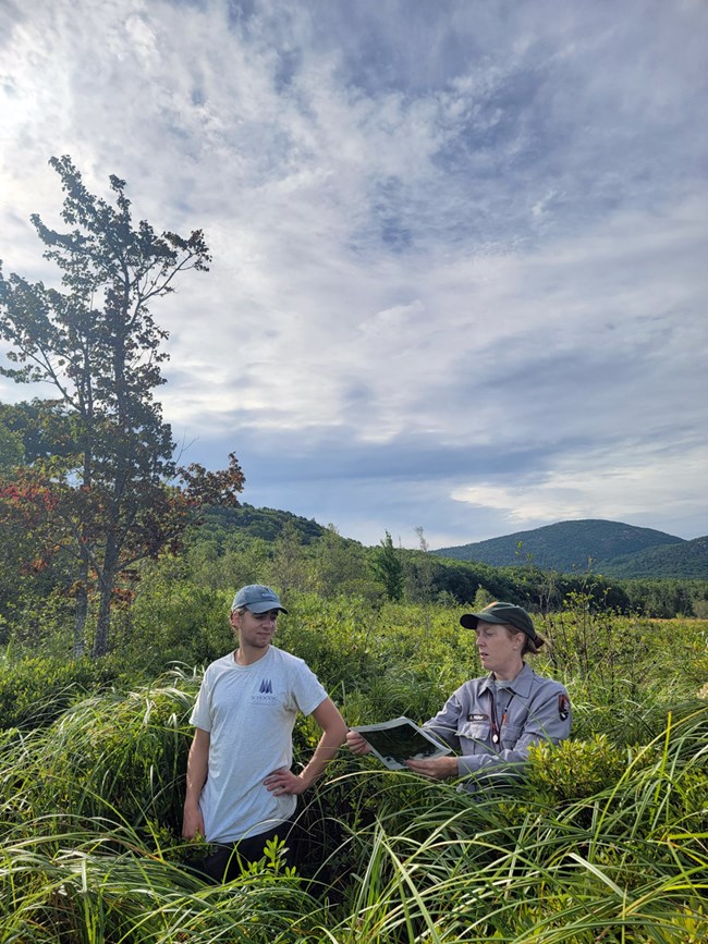 Two ecologists, one in an NPS uniform, standing waist-deep in green meadow grasses looking at a piece of paper.